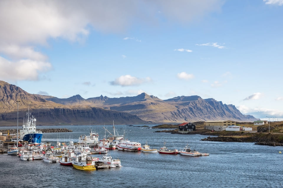 SCENERIES_RIGHT_NEW_MIN